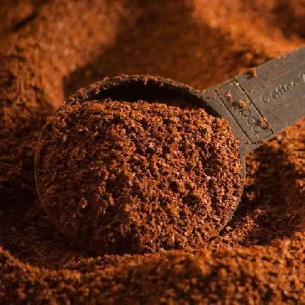 robusta-melena-kava
